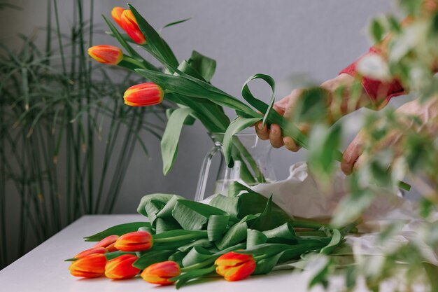 Preciosos tulipanes rojos en una mano de mujer mujer europea floristería prepara un ramo de tulipanes para un