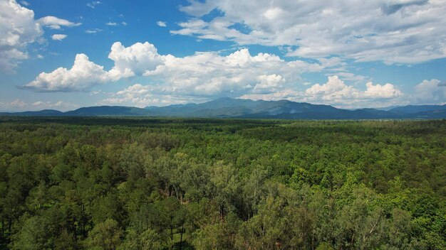 PredeterminadoVista aérea del bosque y las montañas por drone