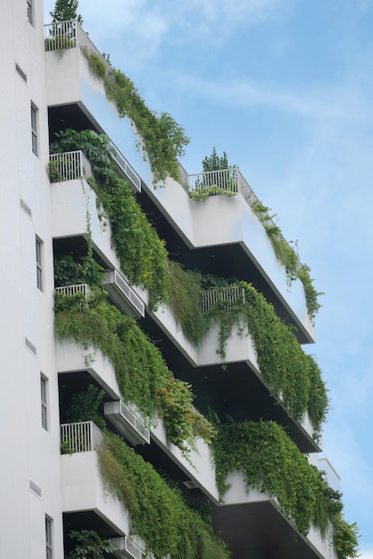 prédio com plantas crescendo na fachada