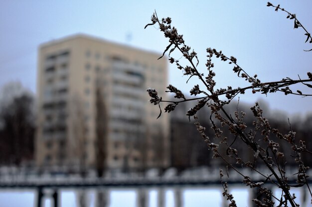 prédio de apartamentos com painéis no inverno