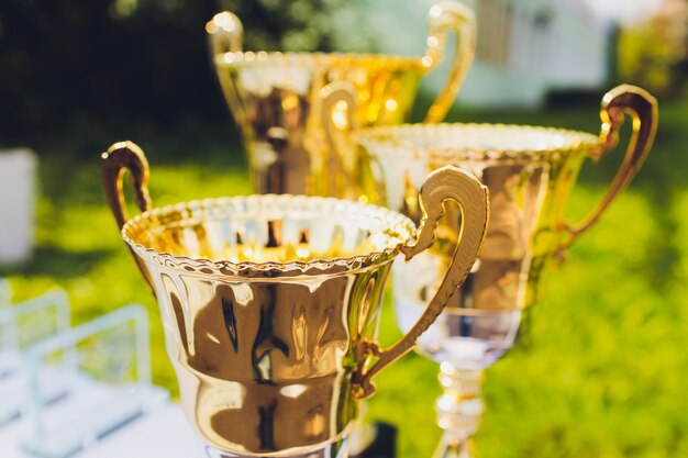 Premios de trofeos por liderazgo de campeones en torneos, ceremonia de éxito para premios de victoria.