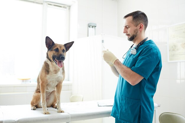 Preparação da injecção