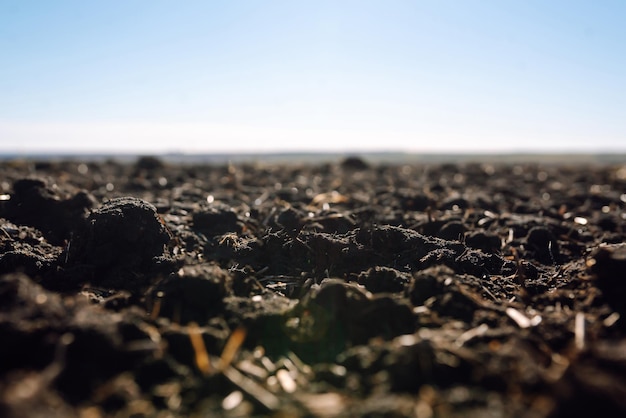 Preparação de campos vazios e arados para a próxima colheita Solo agrícola antes da semeadura