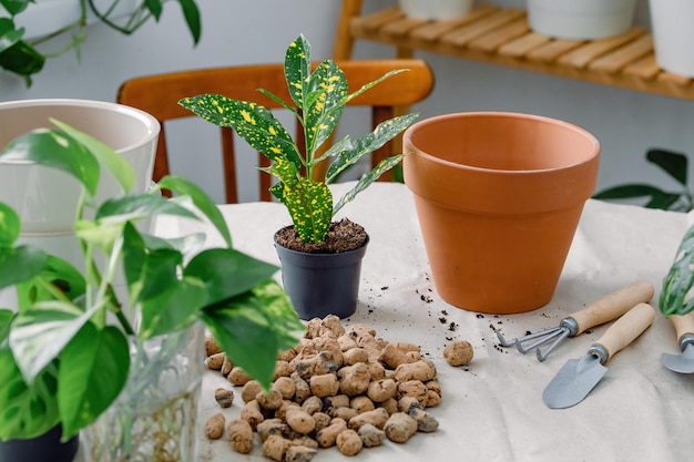 Preparação de vasos de plantas de casa usando pá de vaso de barro e ancinho argila expandida para drenagem