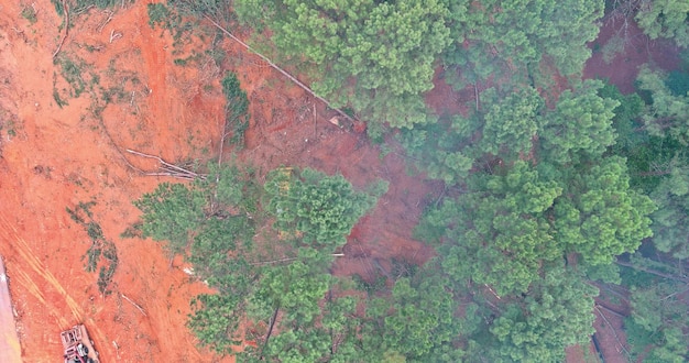 Preparação do terreno para construção com um trator usado durante a limpeza florestal do desmatamento