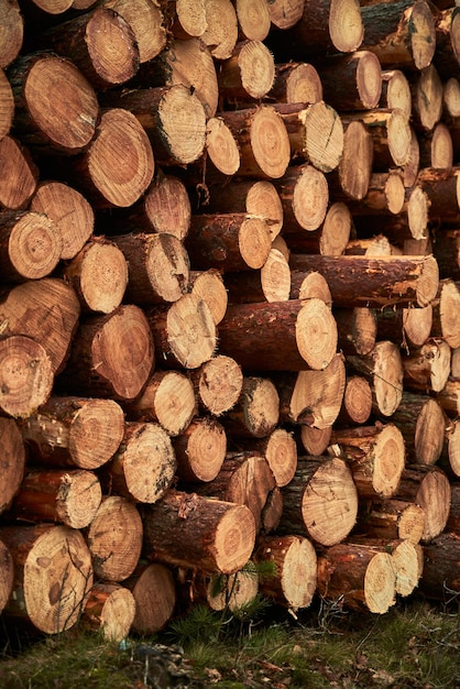 Preparación de biocombustibles renovables Temporada de calefacción de invierno Muro de troncos de madera apilados