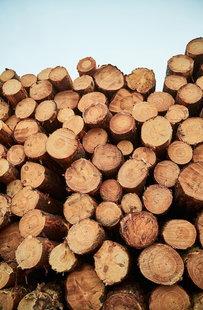 Preparación de biocombustibles renovables Temporada de calefacción de invierno Muro de troncos de madera apilados