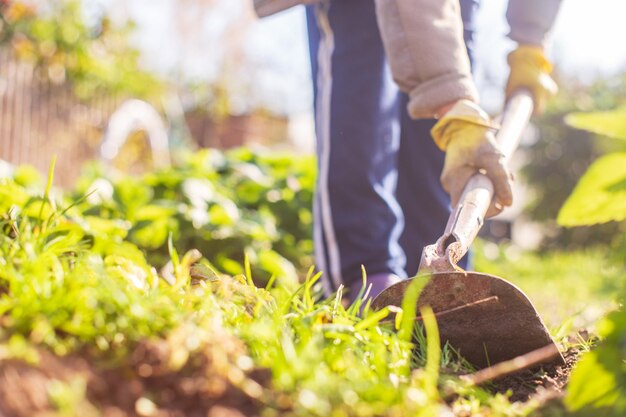 Preparación de un campo agrícola para plantar verduras y frutas de temporada en primavera Concepto de trabajo de temporada en el jardín