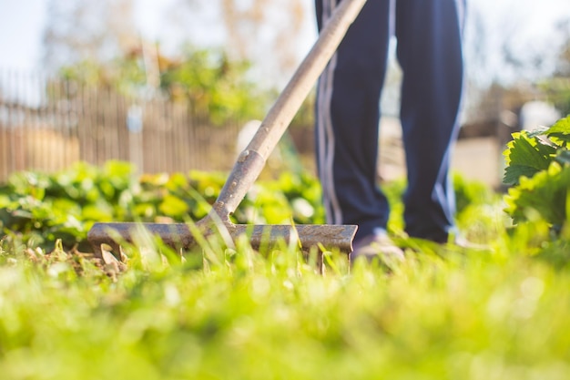 Preparación de un campo agrícola para plantar verduras y frutas de temporada en primavera Concepto de trabajo de temporada en el jardín