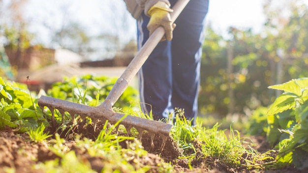 Preparación de un campo agrícola para plantar verduras y frutas de temporada en primavera Concepto de trabajo de temporada en el jardín