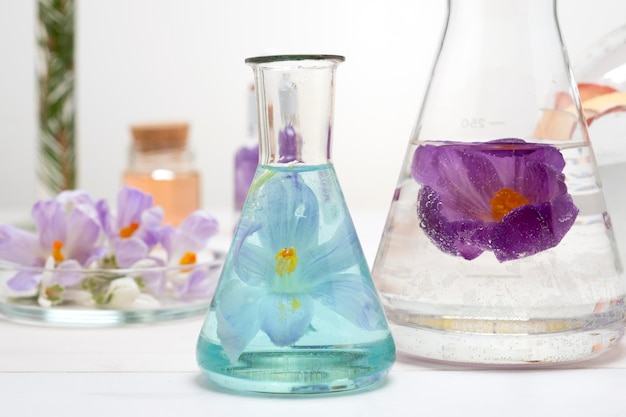 Preparación de perfumes a partir de ingredientes naturales aromaterapia Flores frescas en matraces químicos y tubos de ensayo