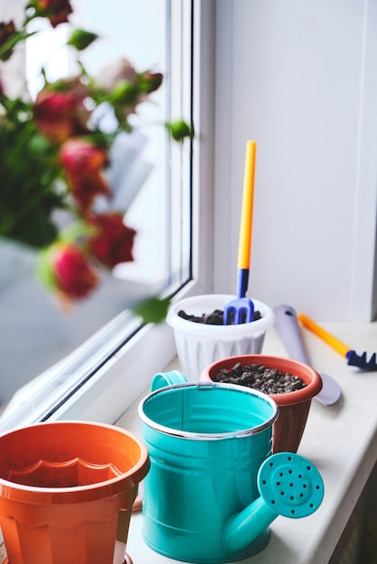 Foto preparación para plantar plantas caseras en macetas a la luz del día en el alféizar de la ventana