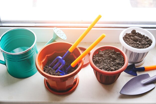 Preparación para plantar plantas caseras en macetas a la luz del día en el alféizar de la ventana