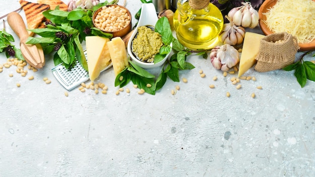 Preparación de salsa pesto Ingredientes Albahaca piñones Parmesano y aceite de oliva Sobre un fondo de hormigón gris