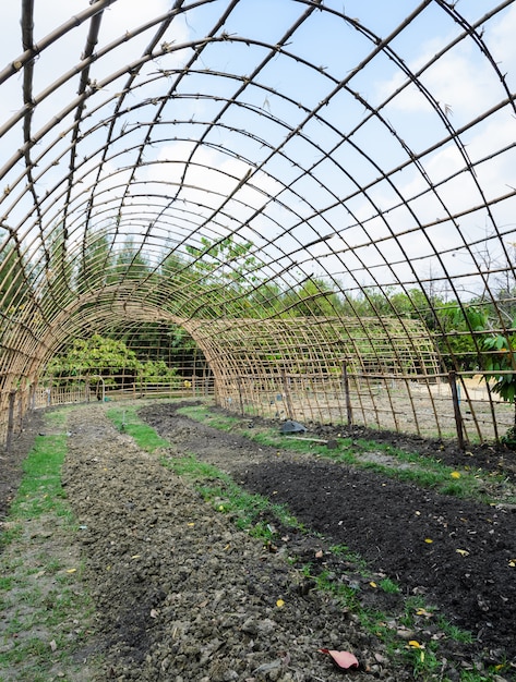 Preparación del suelo molido con celosías de bambú para el cultivo de hortalizas.