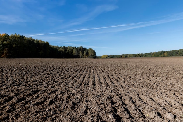 Preparación del suelo en la temporada de otoño para la siembra de primavera.