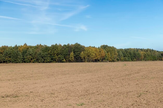 Preparación del suelo en la temporada de otoño para la siembra de primavera.