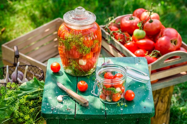 Preparación de tomates en escabeche con ingredientes de cosecha propia