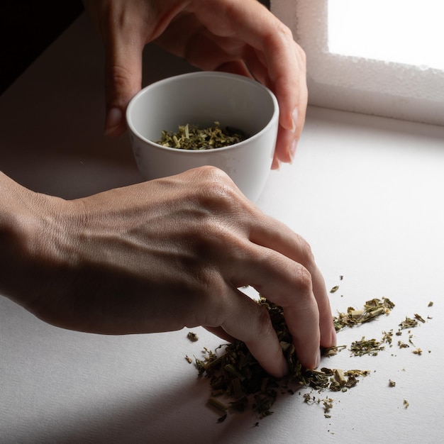 Preparando té de hojas sueltas con las manos Recogiendo hojas cerca de la ventana