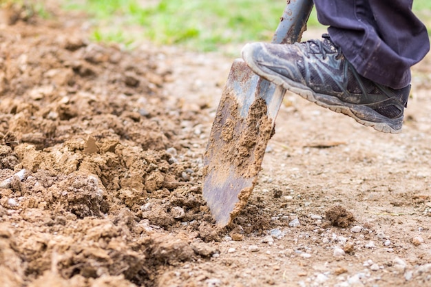 Preparándose para sembrar en su propio jardín desenterrando tierra arcillosa