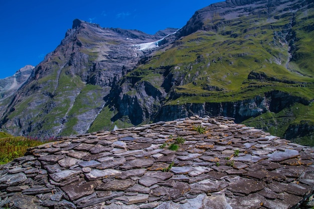 Presa mauvoisinvalaisswiss