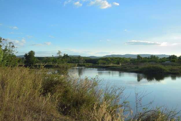 Presa rio en la naturaleza