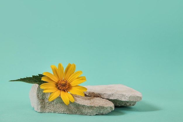 Presentación de flor amarilla de piedra natural de podio de envases cosméticos sobre fondo azul