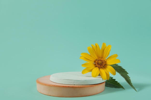 Presentación de flores amarillas de hormigón de podio de envases cosméticos sobre fondo azul.