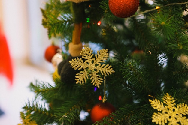 presente de pinheiro de natal