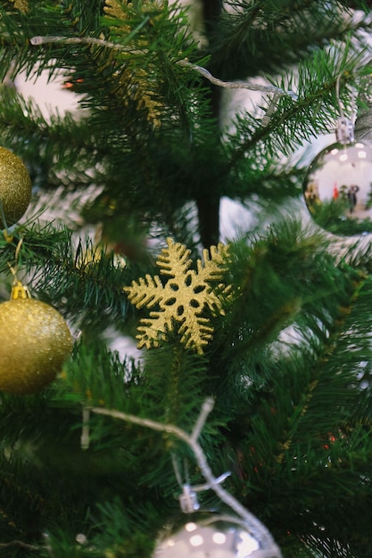 presente de pinheiro de natal