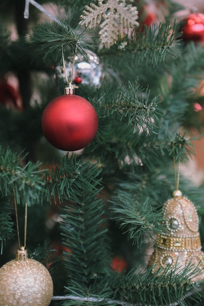 presente de pinheiro de natal