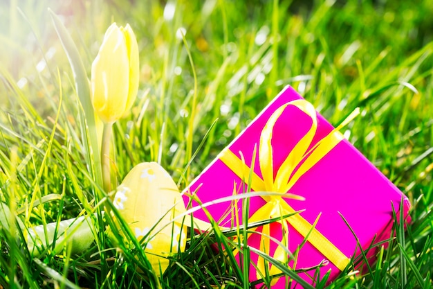 Presente rosa com ovo de páscoa e tulipa amarela