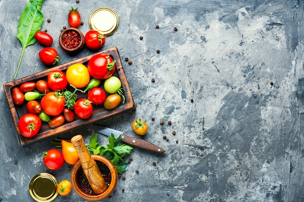 Preservação de tomate outono