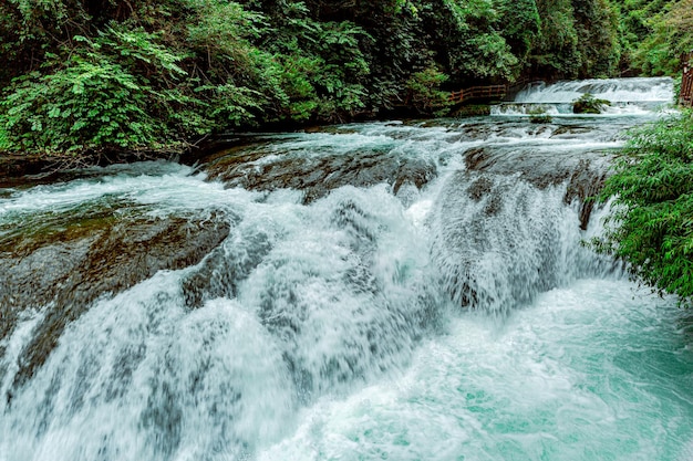 Foto preste atenção à paisagem em todos os lugares, aproxime-se da natureza e aproveite a vida