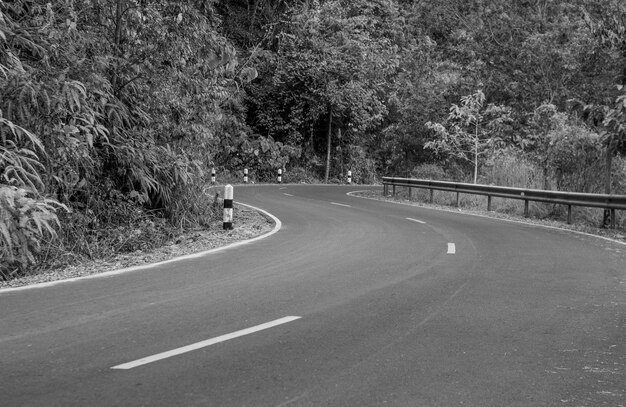 Foto preto e branco a estrada de asfalto do país através da floresta vai para algum lugar na montanha.