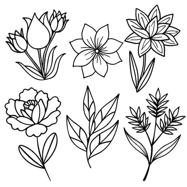 preto e branco desenho flores fundo branco coloração imagem
