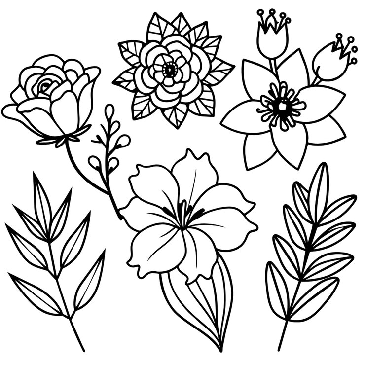 Foto preto e branco desenho flores fundo branco coloração imagem