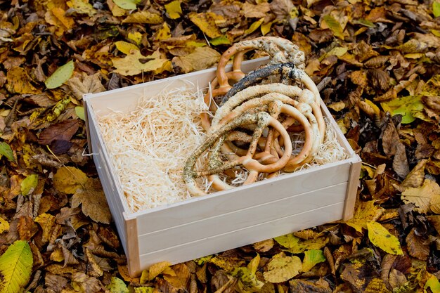 Pretzels surtidos frescos en una caja de madera sobre fondo de follaje amarillo otoñal.