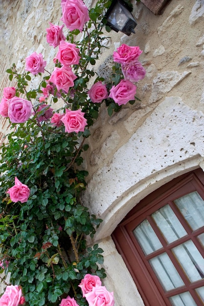 Primavera en un antiguo pueblo típico francés