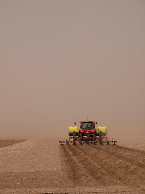 Primavera arando en tormenta de arena cerca de Alamosa, Colorado.