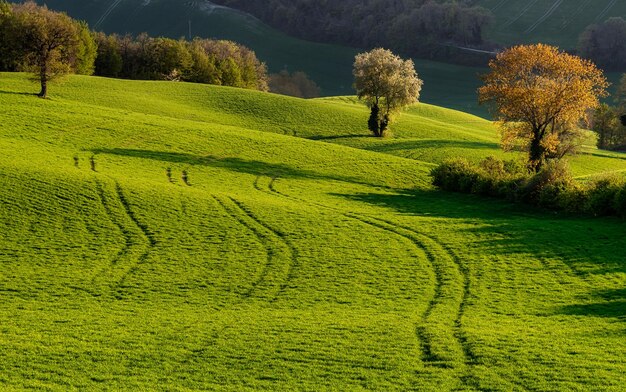 La primavera en el campo de San Severino Marche