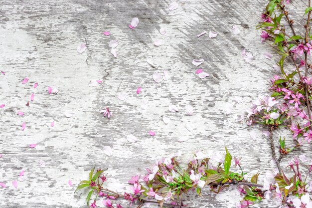 Primavera flor de cerejeira ou sakura flores sobre fundo branco mesa de madeira rústica com pétalas