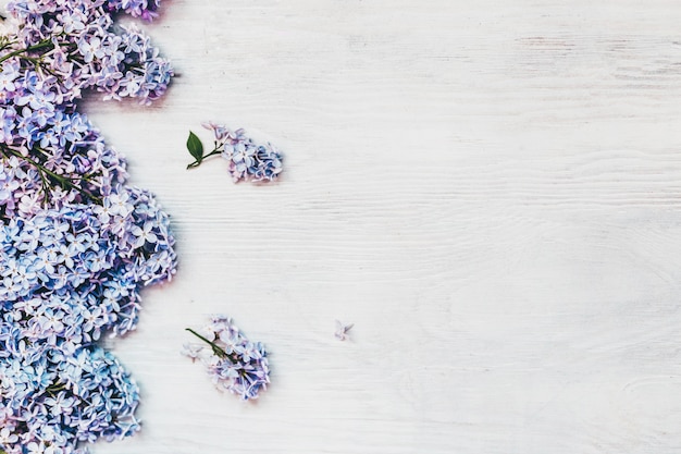 Primavera florece lilas sobre un fondo blanco de madera