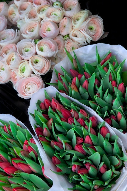 Primavera en la floristería