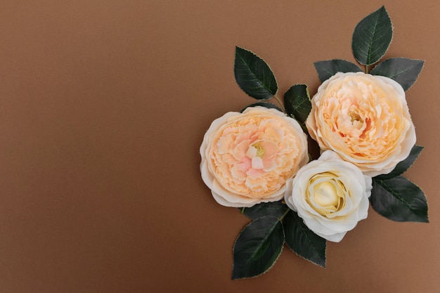 Primavera hermosas flores sobre fondo marrón, belleza femenina