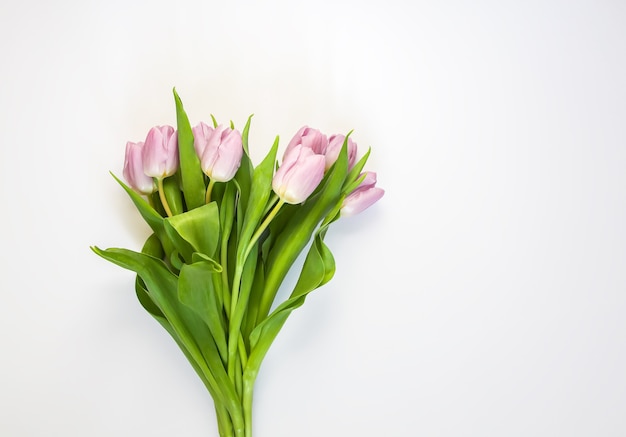 Primavera hermosas flores de tulipán sobre fondo blanco suave. Día de la madre, tarjeta de felicitación festiva composición floral decorativa.