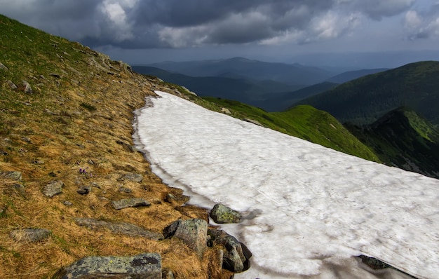 Primavera en las montañas de los Cárpatos Ucrania