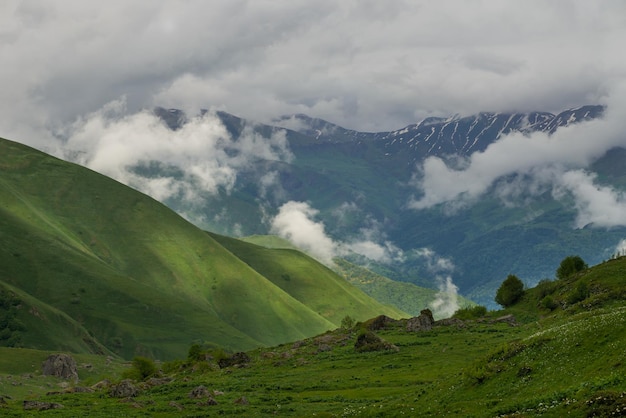 Primavera en las montañas nevadas y nevadas