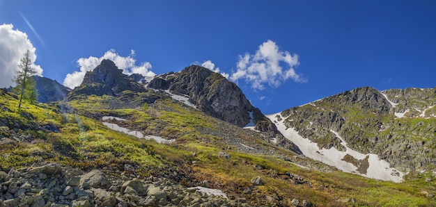 Primavera en las montañas con nieve en las laderas y vegetación