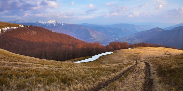 Primavera en las montañas